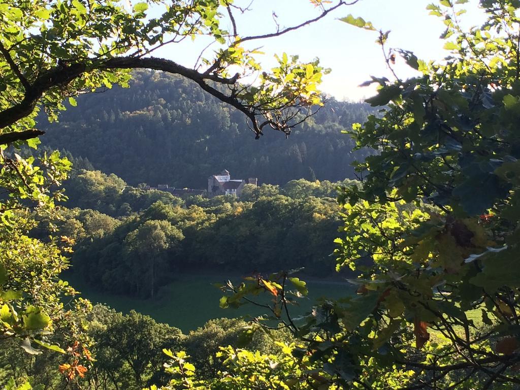 Landhaus Waldrand Biersdorf am See Exterior photo